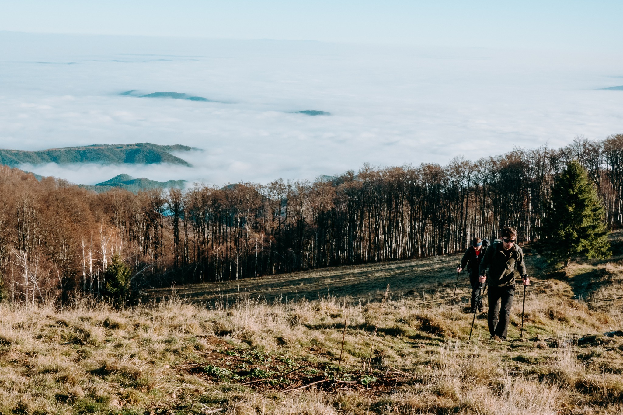 Drumeție în Munții Cindrel: circuit Rășinari – Poiana Trandafirilor