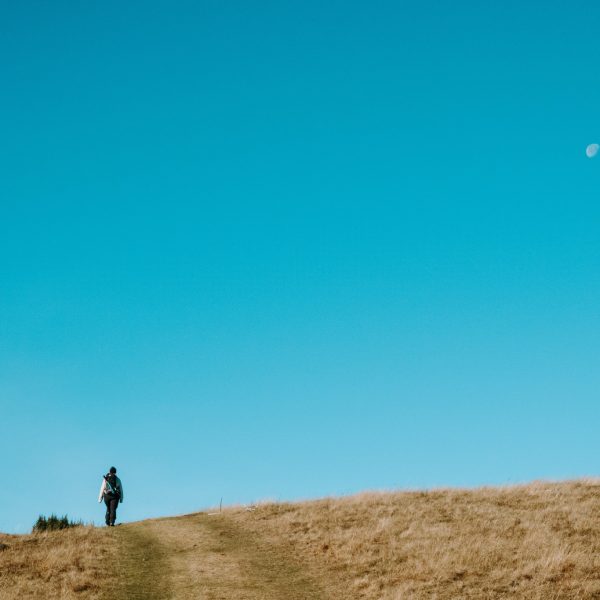 Experiență locală în zona Mediașului cu degustare de vin local