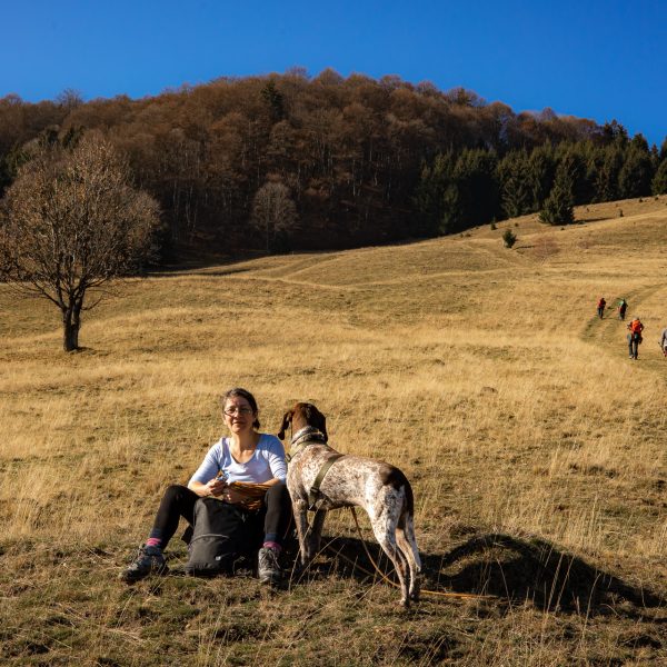 Drumeție pe Via Transilvanica: Mediaș - Bazna - Târnava