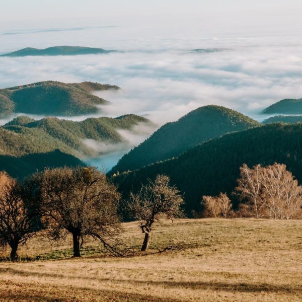 Drumeție pe dealuri: Mediaș - Moșna