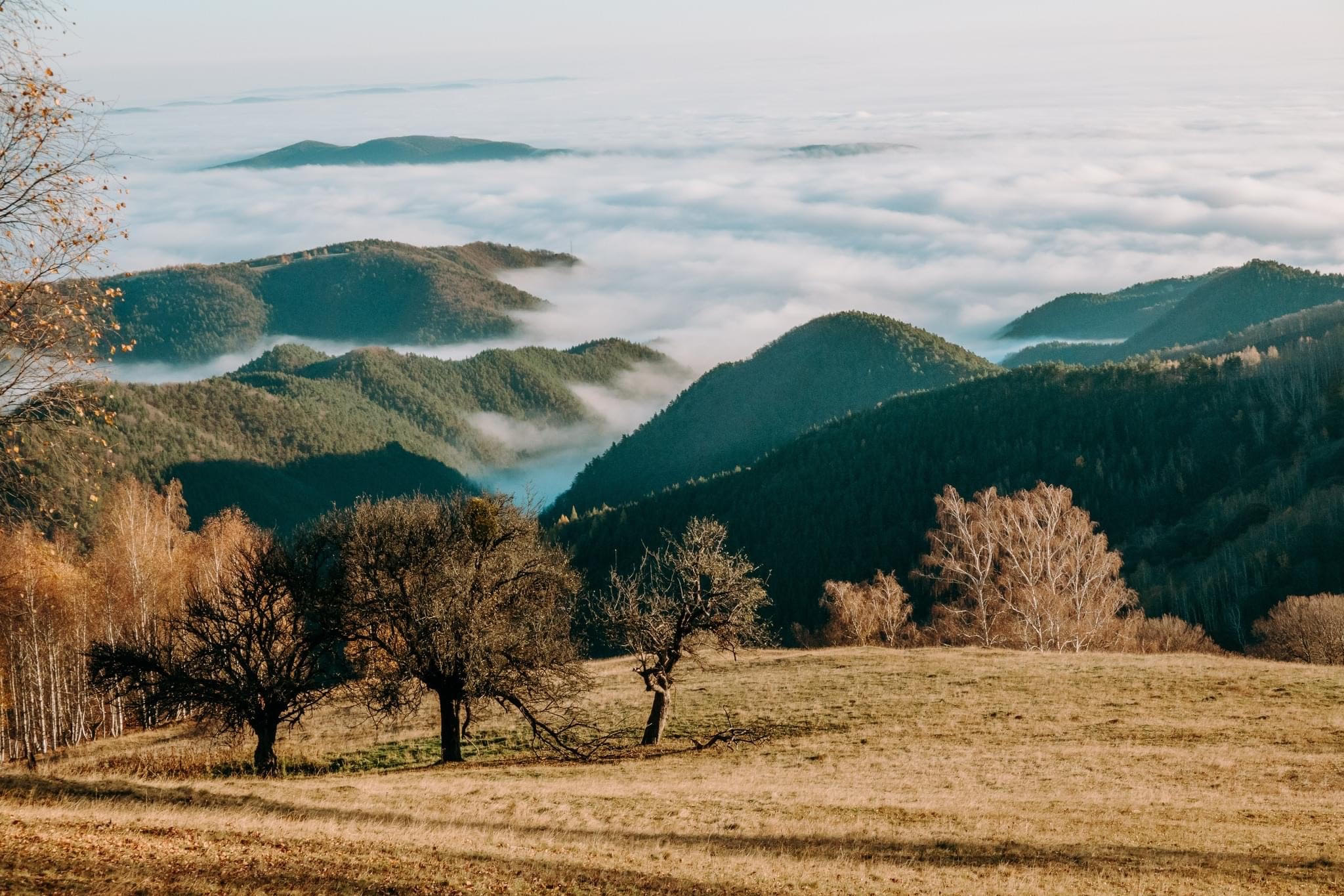 Drumeție pe dealuri: Mediaș – Moșna