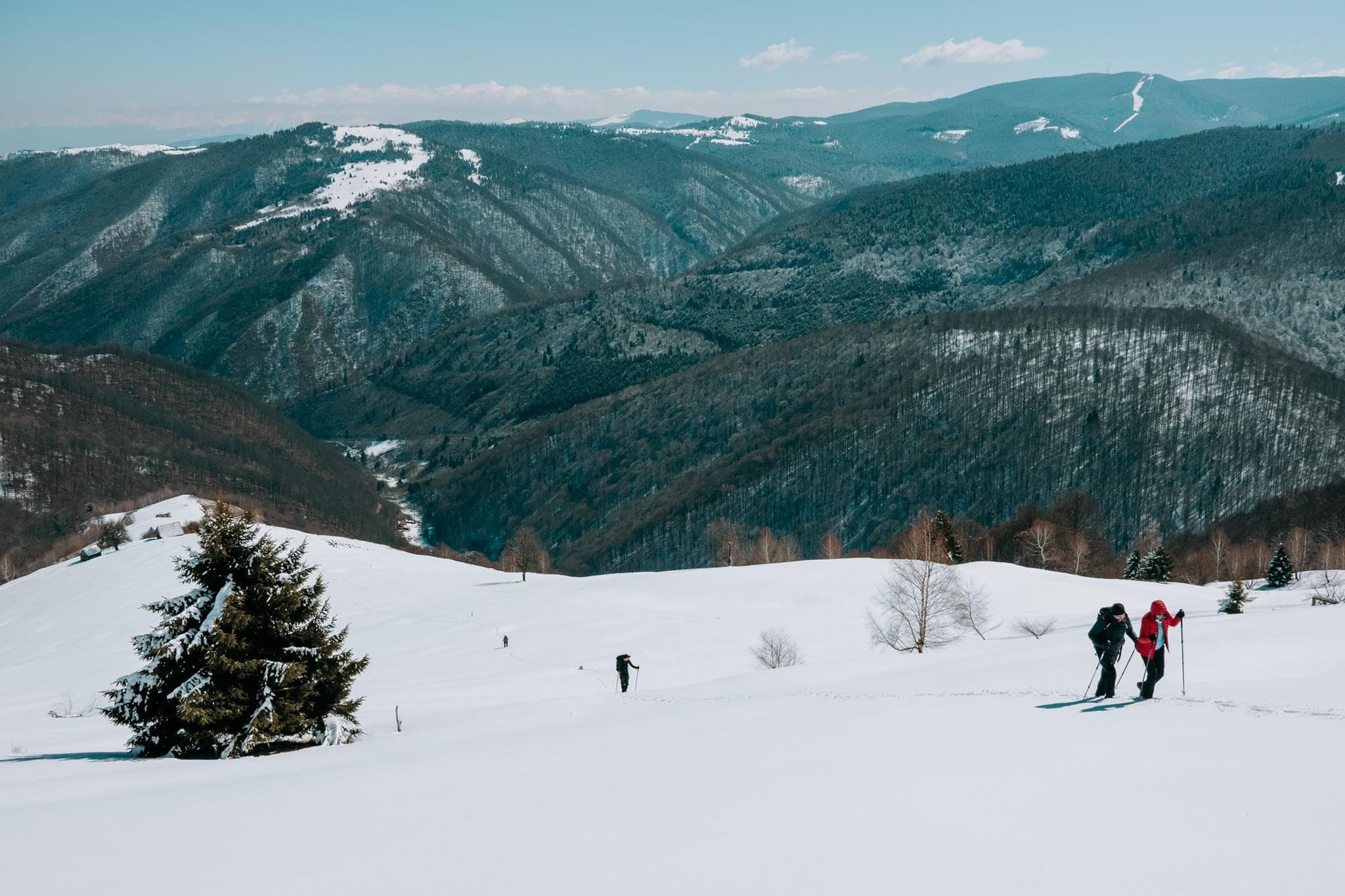 Drumeție pe Via Transilvanica: Agârbiciu – Micăsasa