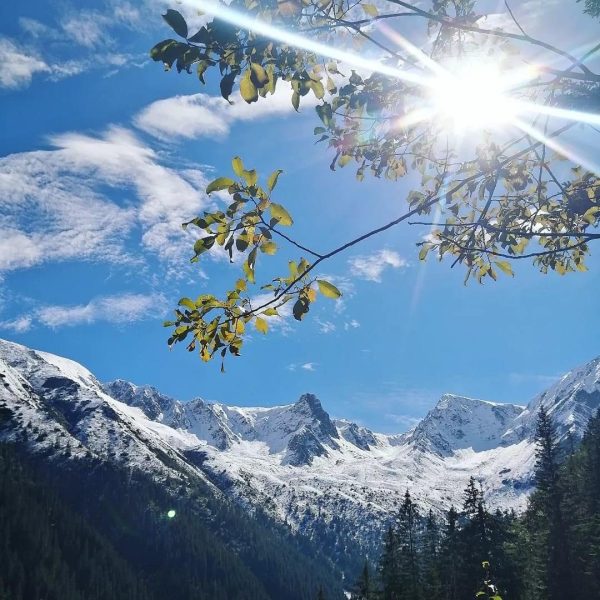 Drumeție în Munții Cindrel: Dealurile Rășinarului II