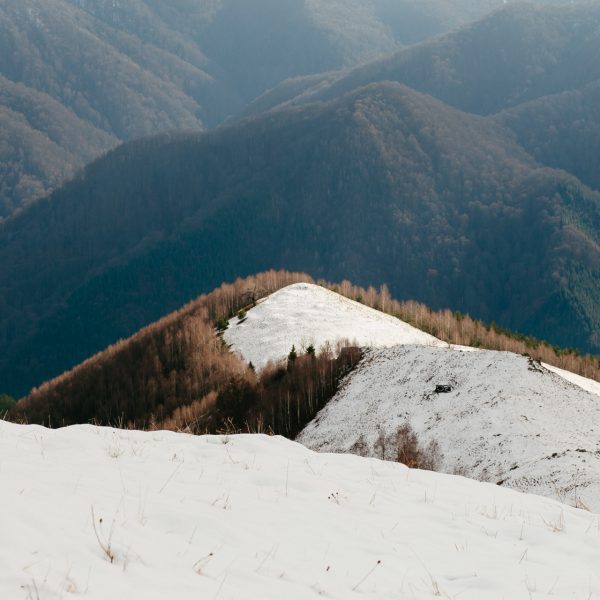 Drumeție în Munții Cindrel - pe dealurile Rășinarului