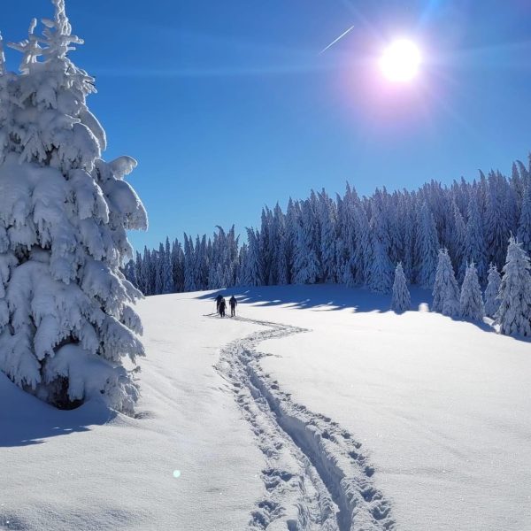 Drumeție în Munții Cindrel - pe dealurile Săliștei