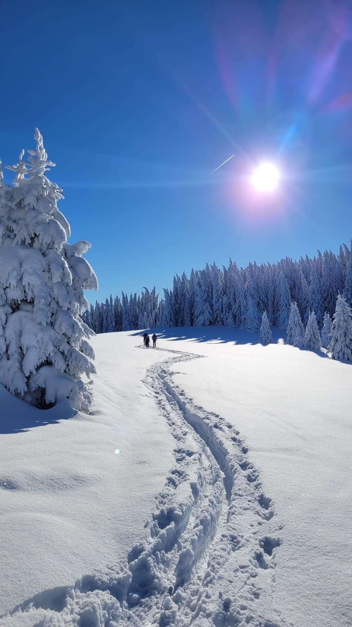 Drumeție în Munții Cindrel – pe dealurile Săliștei