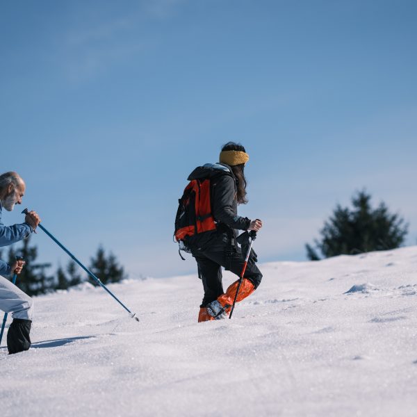 Drumeție în Munții Cindrel: pe dealurile Sibielului