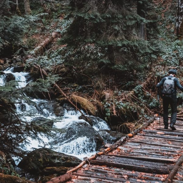 -SOLD OUT- Drumeție în Munții Cindrel: Valea Morii-Vârful Măgura-Tocile