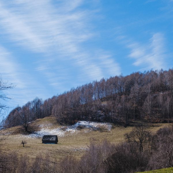 Drumeție în Munții Cindrel: Rășinari-Dealul Fraga-Rășinari