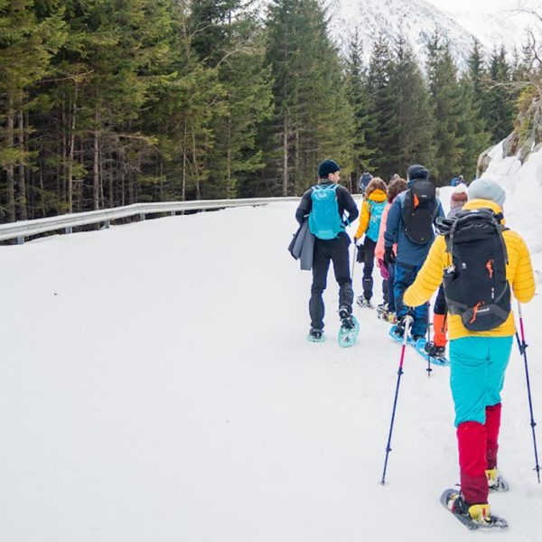 Drumeție pe rachete în Munții Cindrel: Păltiniș