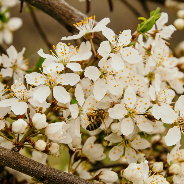 -ANULAT- Drumeție în familie în zona Mediașului