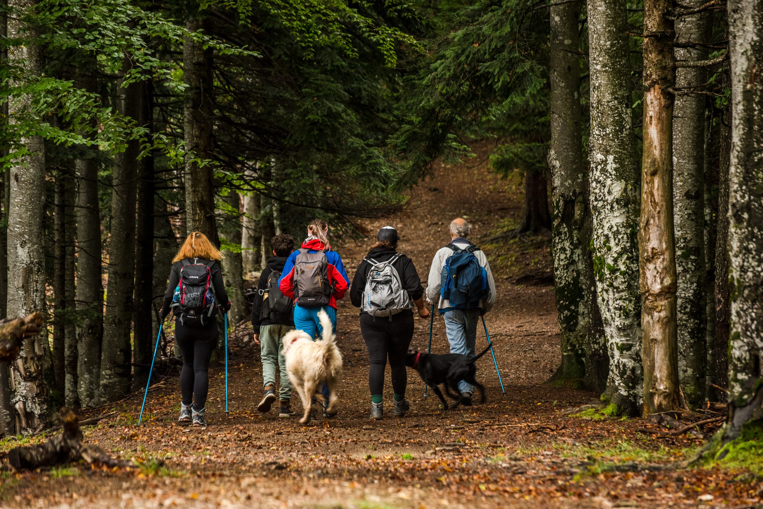 Duminica în familie: Piatra Broaștei – Cisnădioara