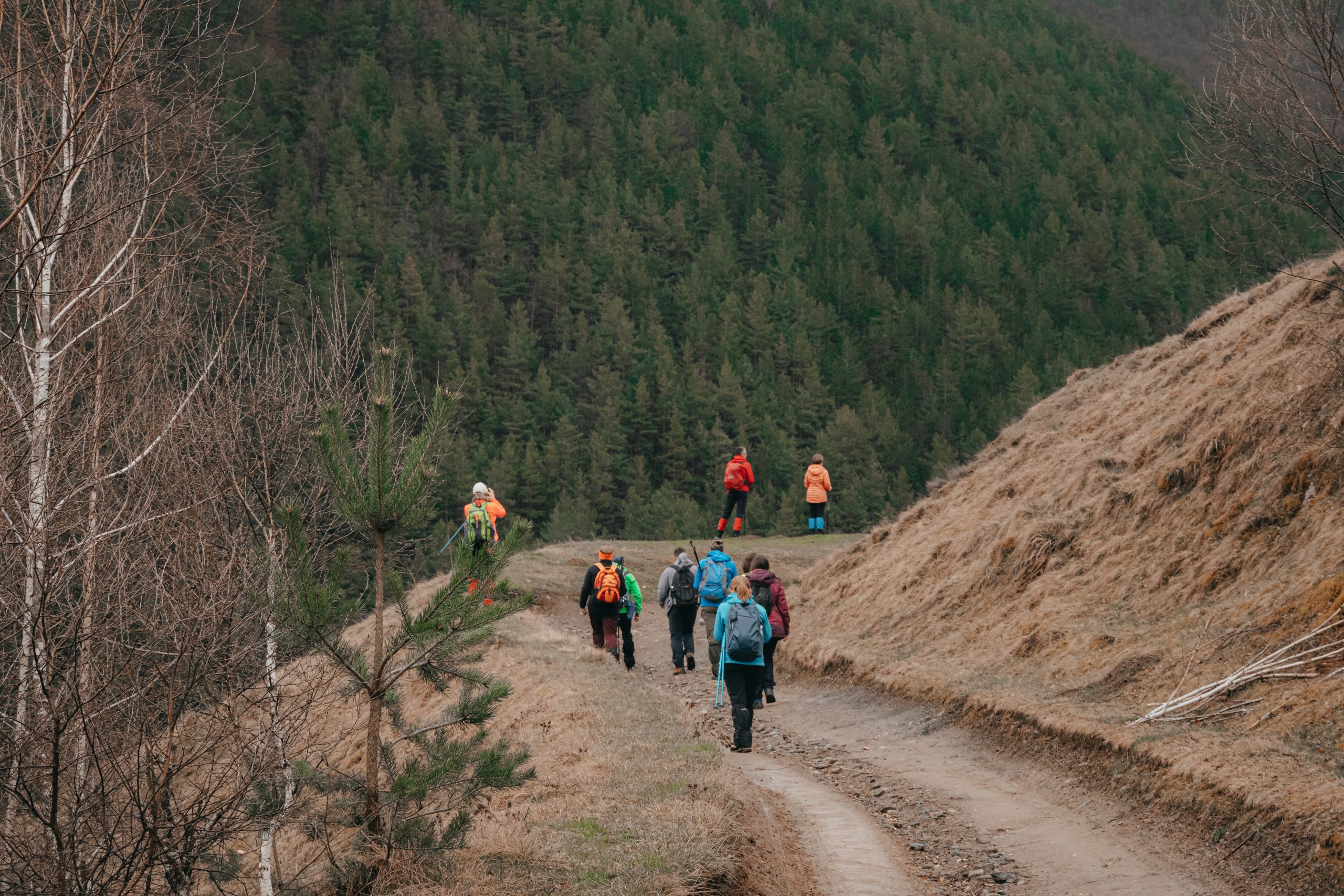 Drumeție tip Circuit: Cantonul Muncel – Gâtu Berbecului – Cantonul Muncel