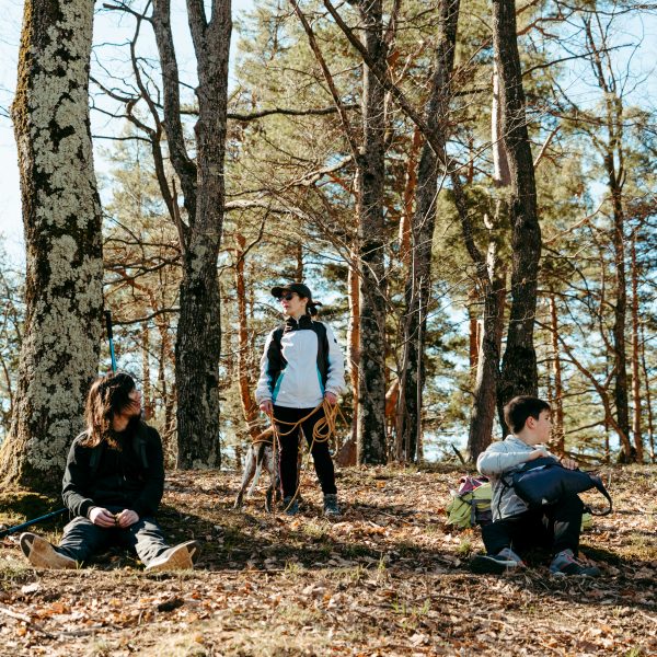 Experiență: Școala de Hike pentru copii și adulți de nivel mediu și începători cu picnic