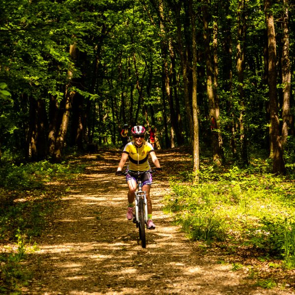 Tură cu bicicletele MTB: Valea Hârtibaciului