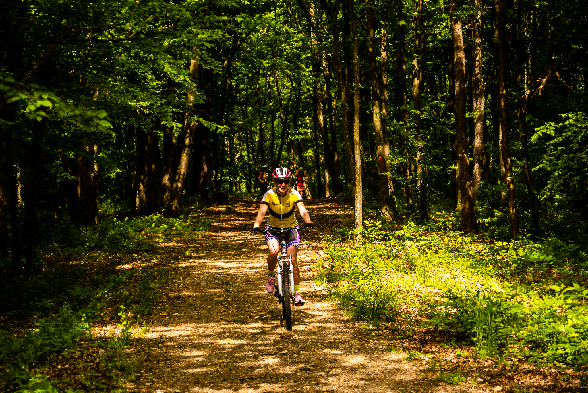 Tură cu bicicletele MTB: Valea Hârtibaciului