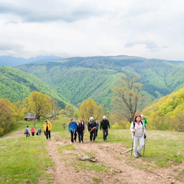 -ANULAT- Picnic în Poiana Soarelui