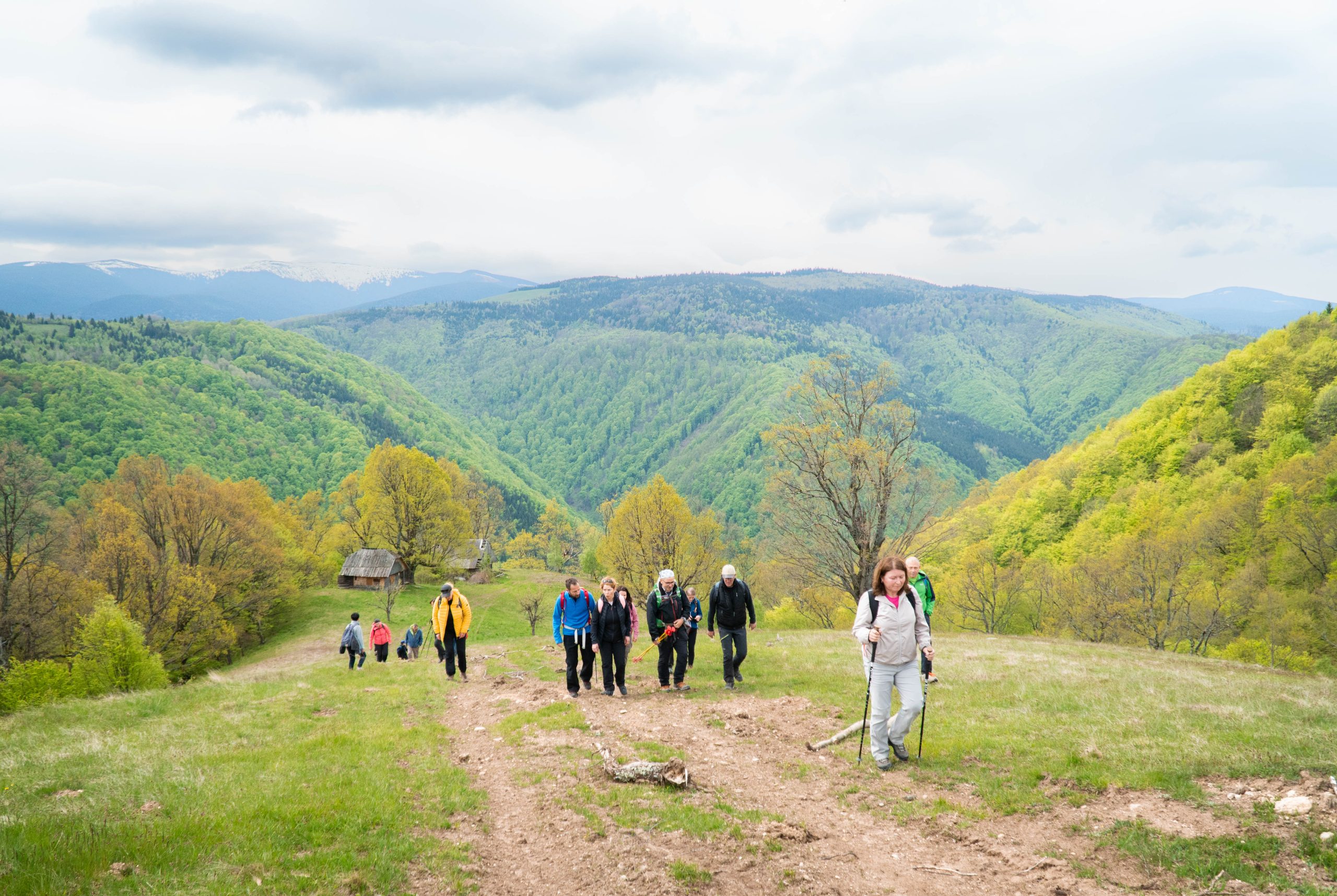-ANULAT- Picnic în Poiana Soarelui