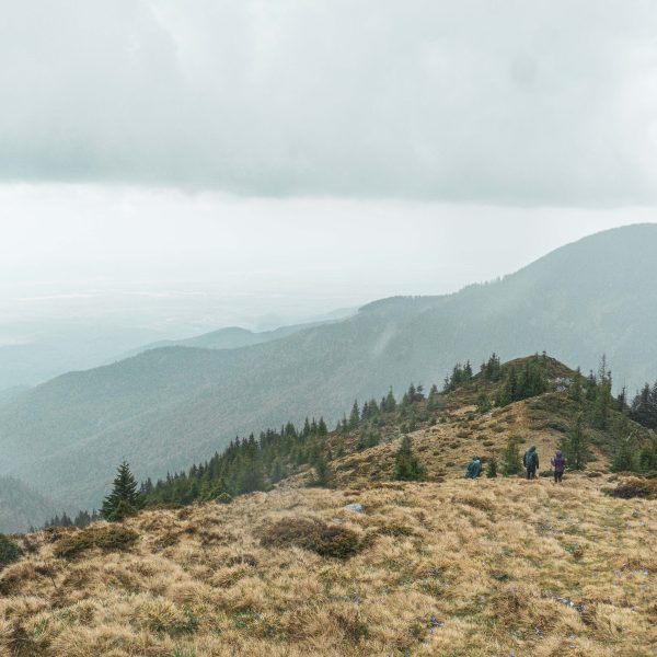 Drumeție în Munții Făgăraș: Vârful Tătaru