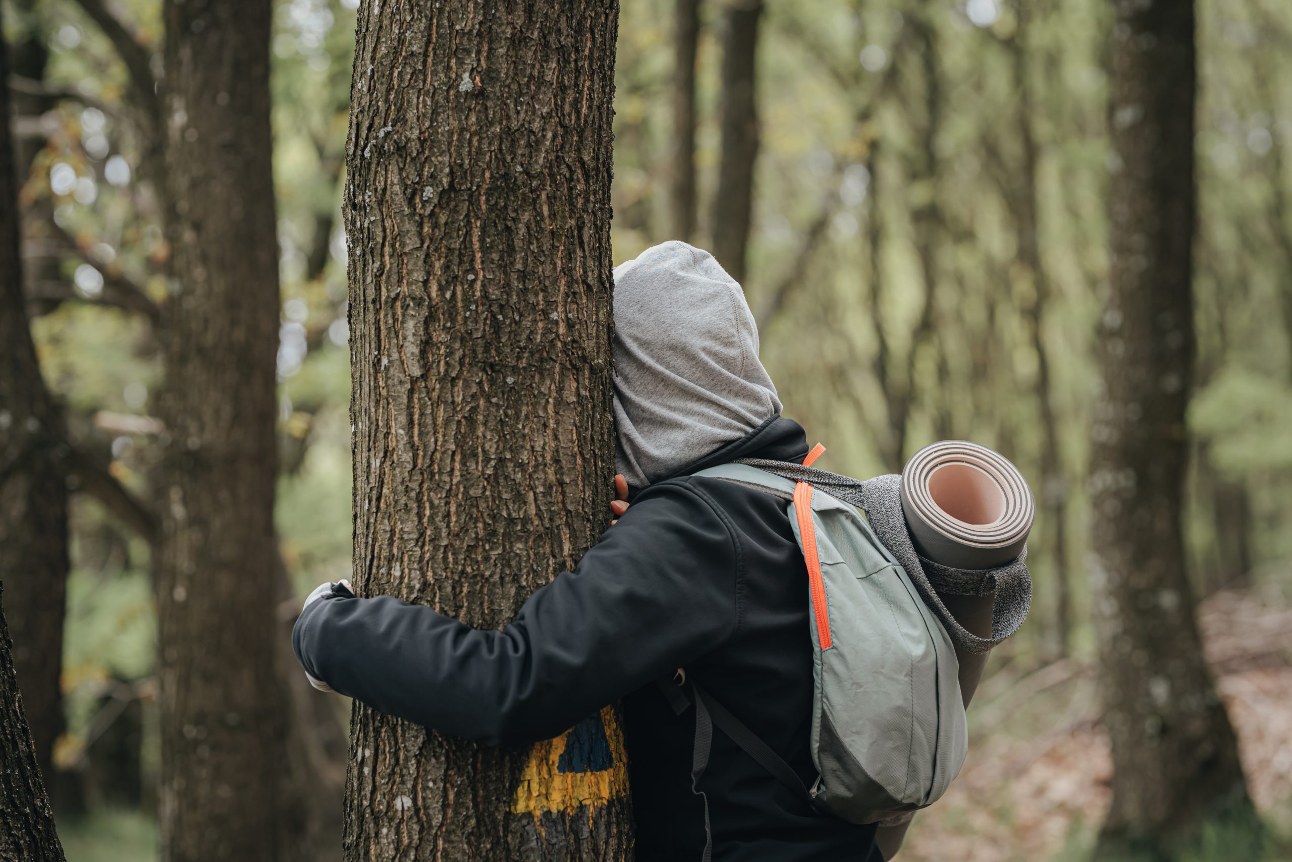 -AMÂNAT- Drumeție si yoga in familie/ cuplu la Nocrich + vizita atelier ceramica