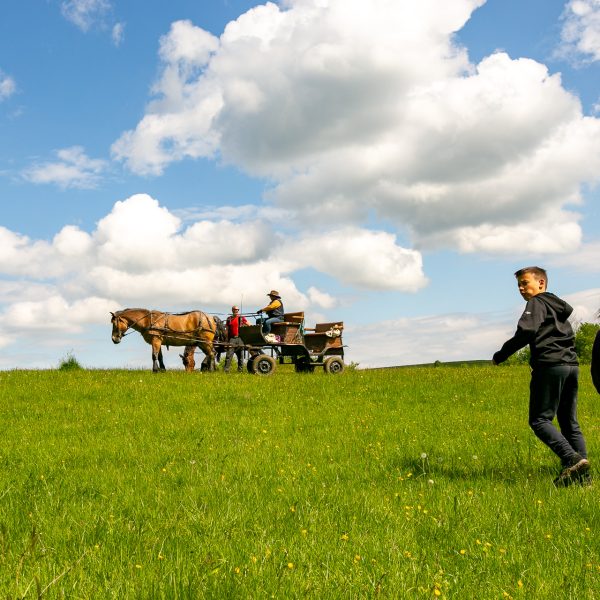 -ANULAT- Drumeție cu picnic pentru familii și persoane cu condiție fizică medie