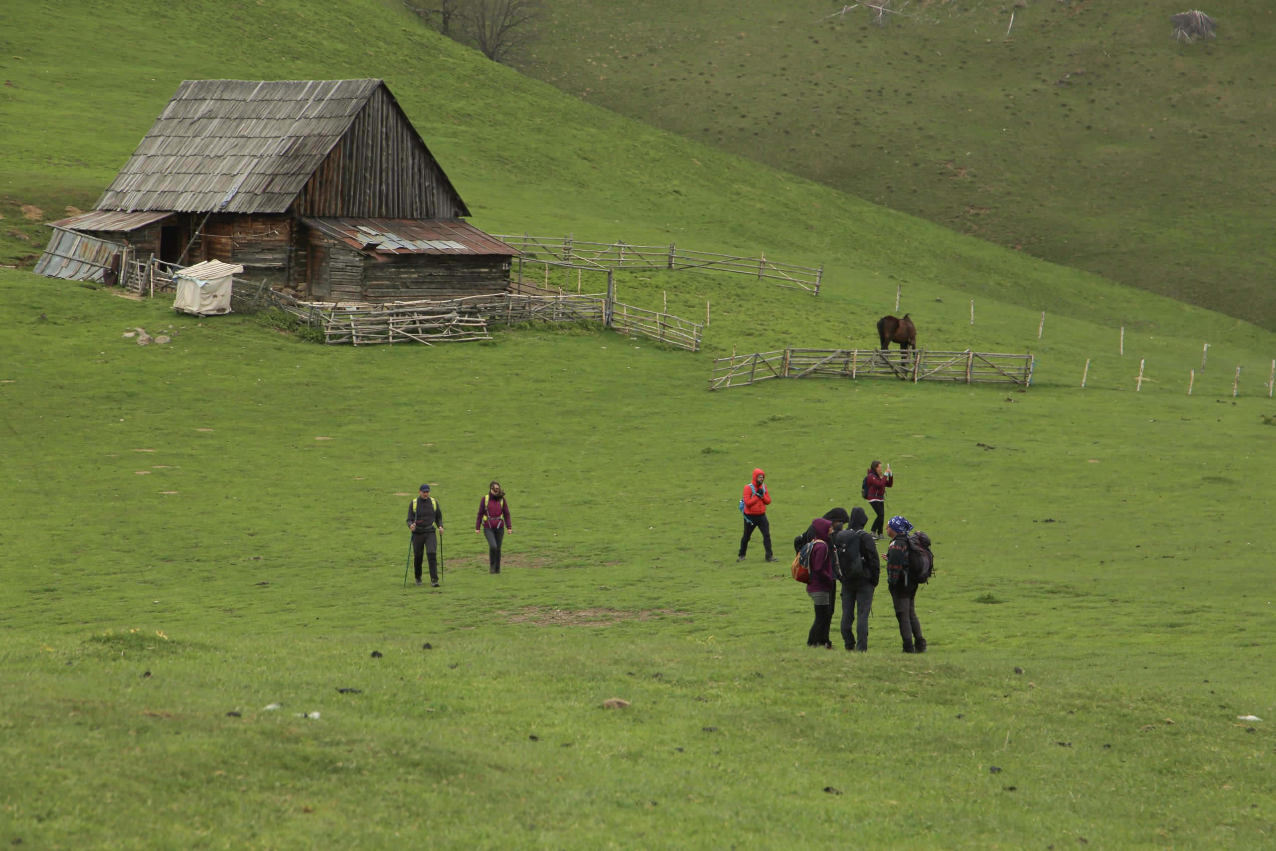 Drumeție în Munții Cindrel: Căsuța MGS