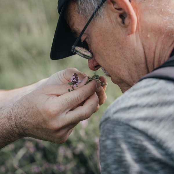 Experiență gastronomică: Valea Hârtibaciului - Hosman