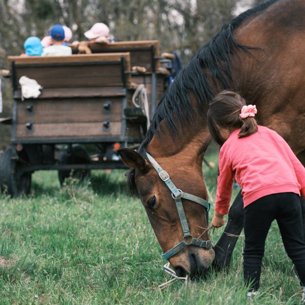 -ANULAT- Drumeție cu picnic pentru familii și persoane cu condiție fizică medie