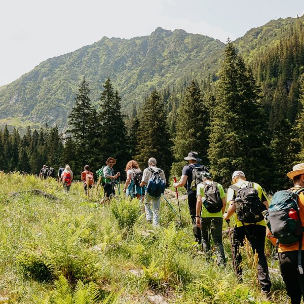 Drumeție în Munții Făgăraș: Valea Doamnei - Valea Bâlii