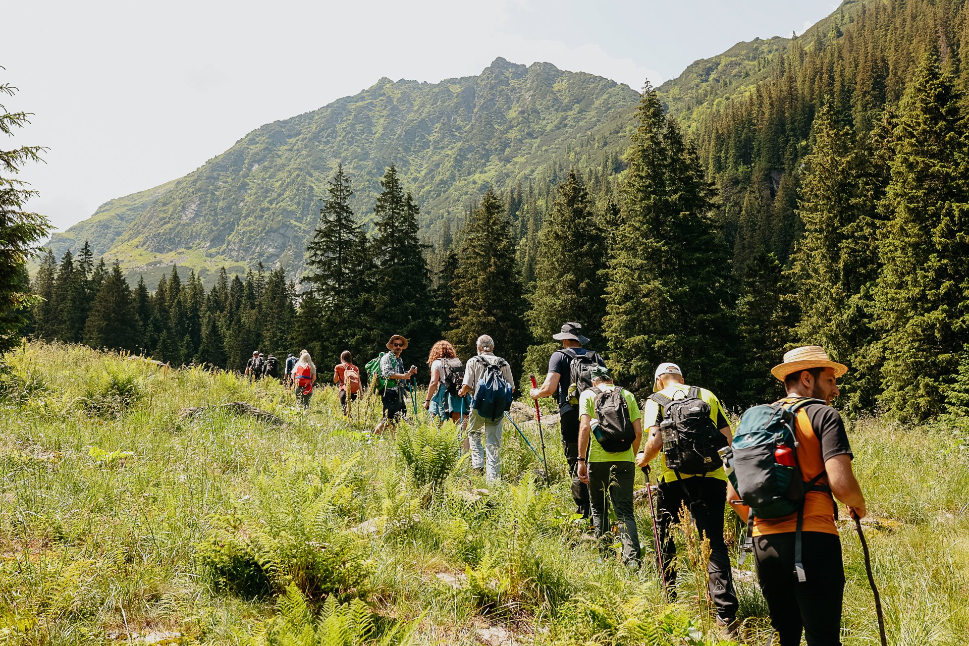Drumeție în Munții Făgăraș: Valea Doamnei – Valea Bâlii