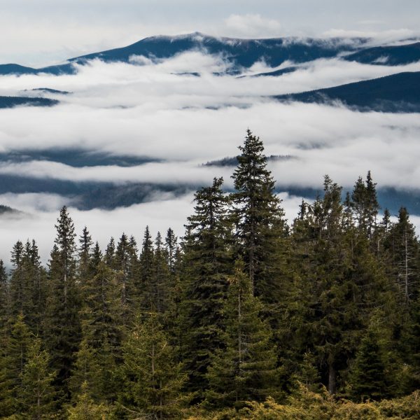 Drumeție la apus: Șaua Bătrâna