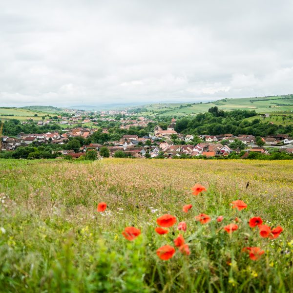 -ANULAT- Drumeție: Valchid - Copșa Mare - Nou Săsesc