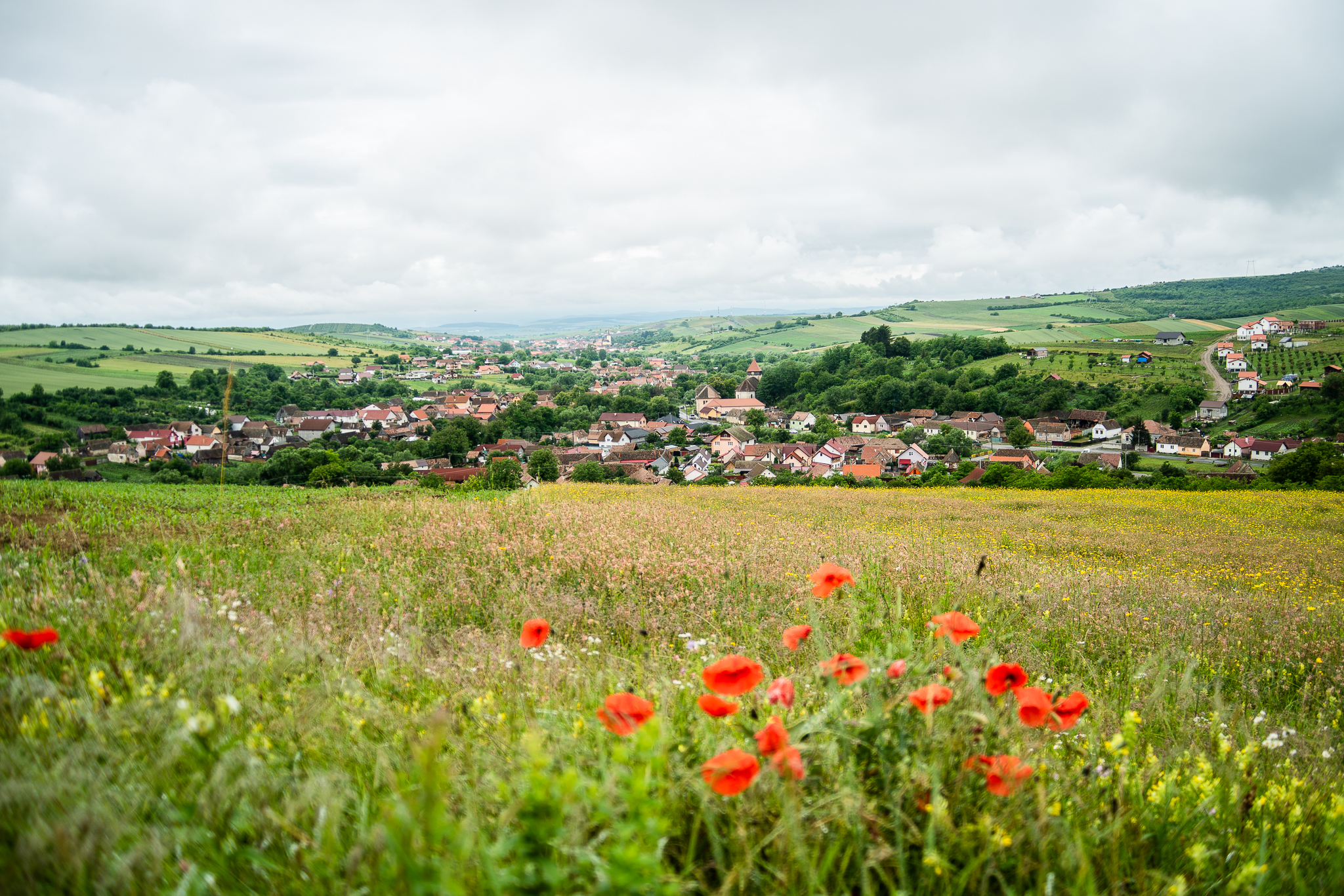 -ANULAT- Drumeție: Valchid – Copșa Mare – Nou Săsesc