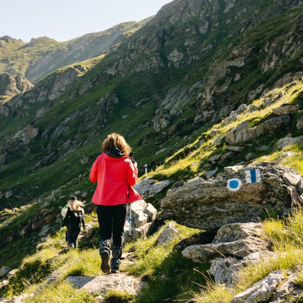 Drumeție în Munții Făgăraș: Bâlea Lac - Vf. Negoiu