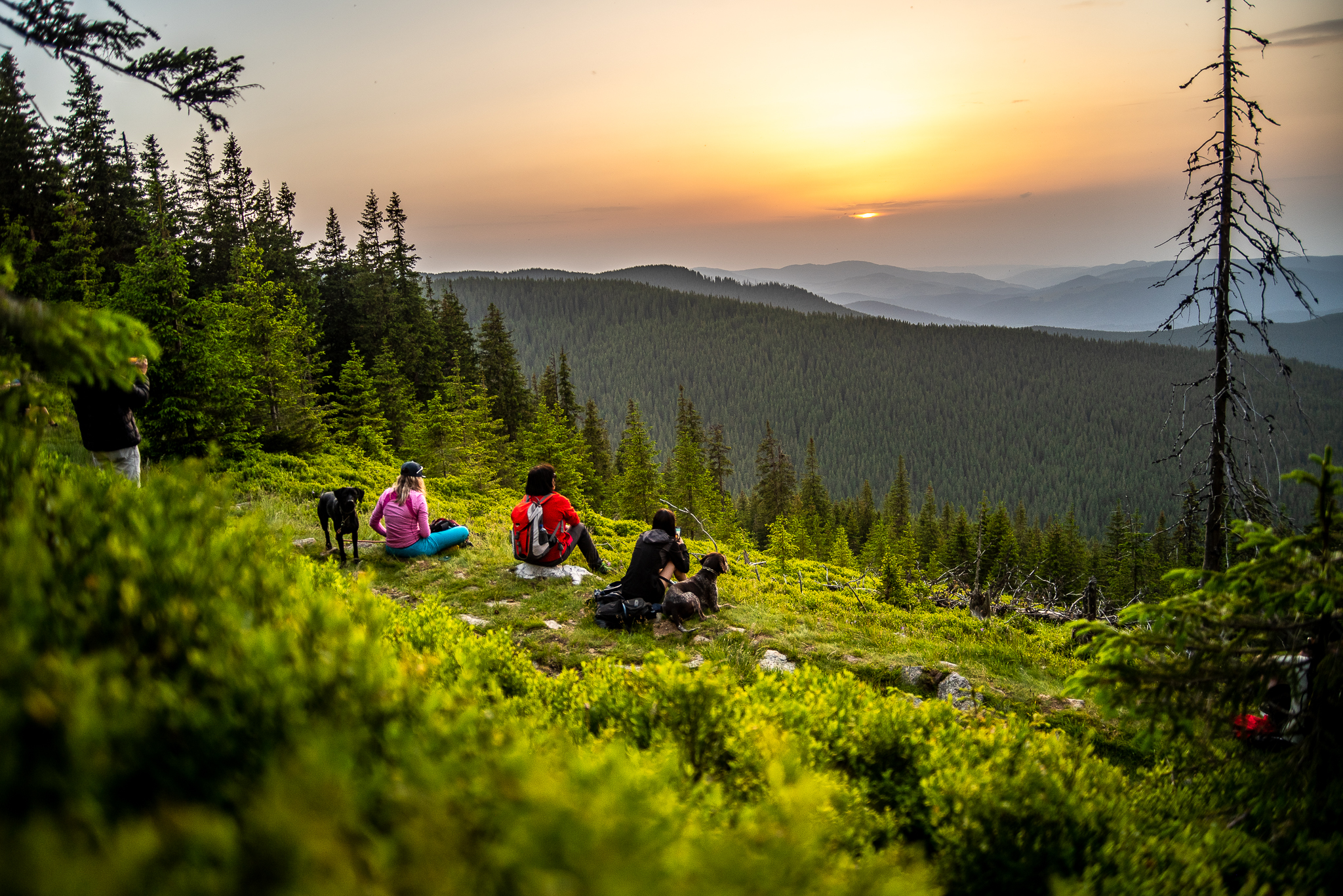 Drumeție la apus în Munții Cindrel
