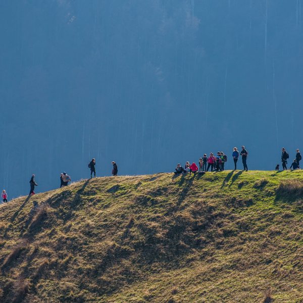 Drumeție în Râu Sadului: Circuit Valea Vârjoghii și Apa Cumpănită