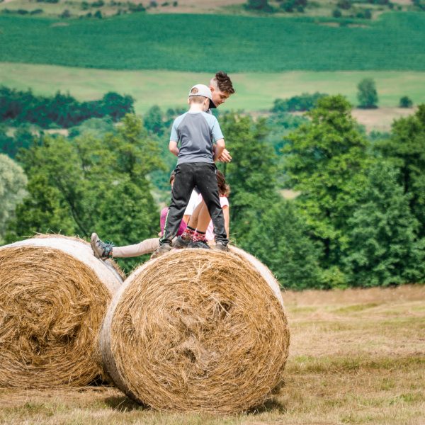 -ANULAT- Drumeție pentru cunoașterea florei specifice toamnei din podișul Transilvan: Ilimbav