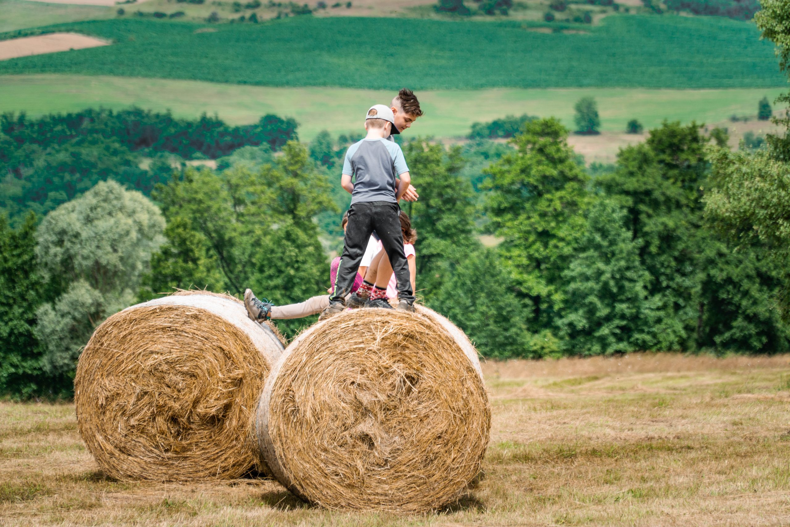 -ANULAT- Drumeție pentru cunoașterea florei specifice toamnei din podișul Transilvan: Ilimbav