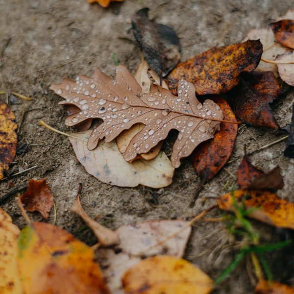 Drumeție colorata de toamnă în Munții Cindrel