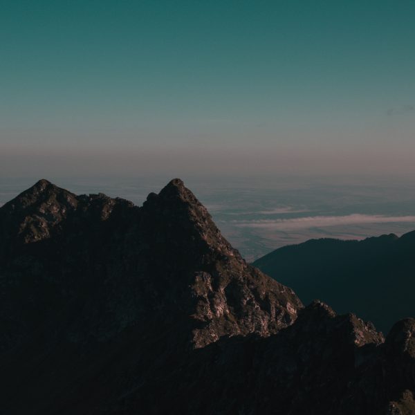 Degustare de plăcinte After Work