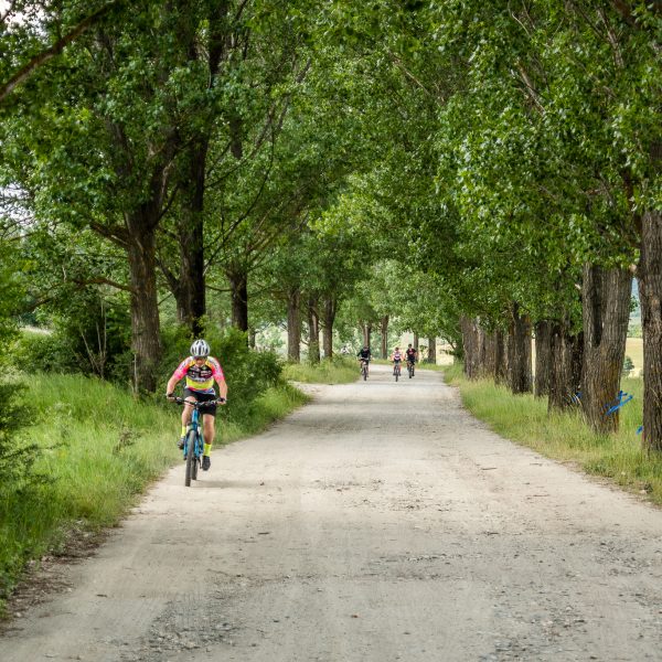 Tură de eMTB pe Valea Moașei