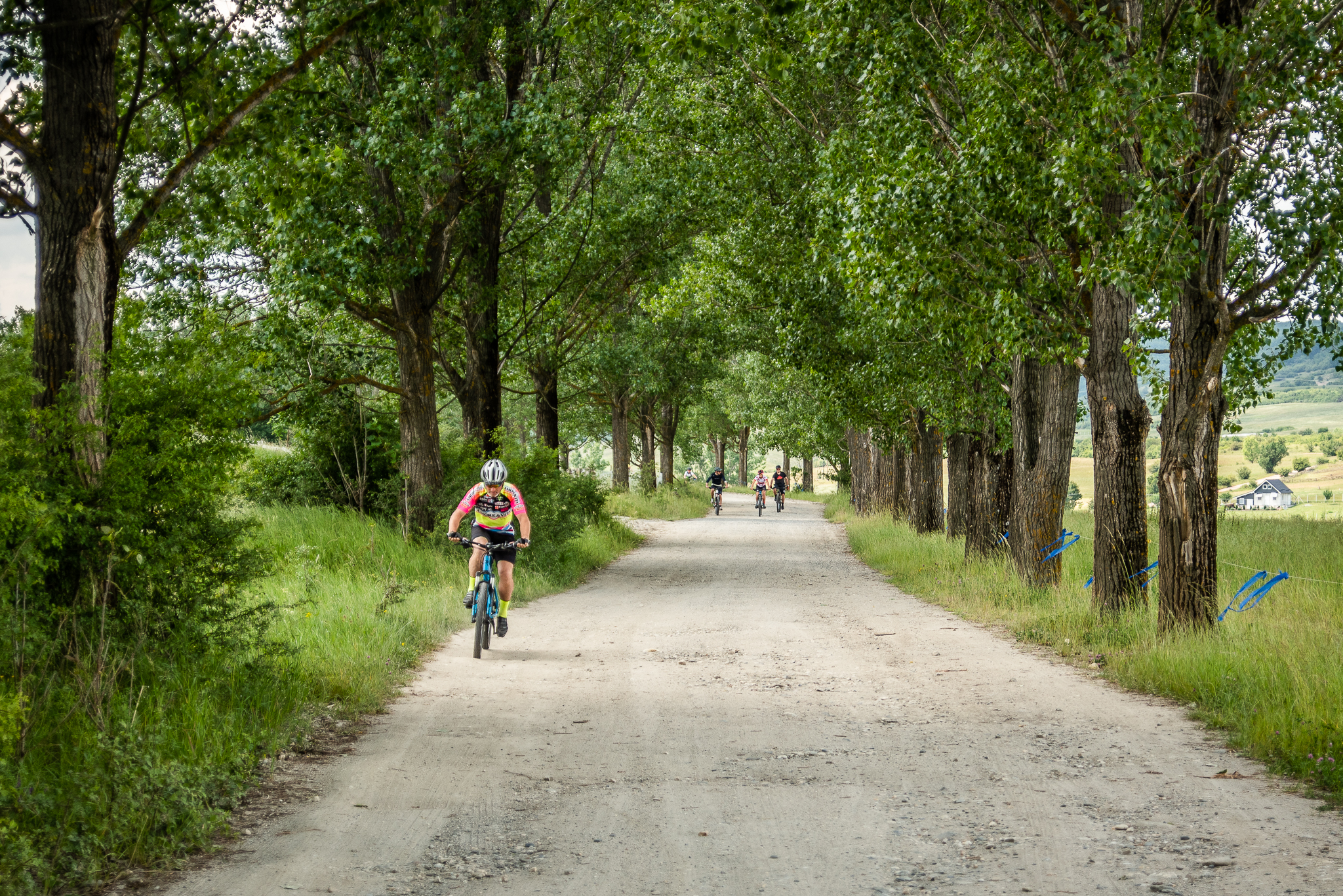 Tură de eMTB pe Valea Moașei
