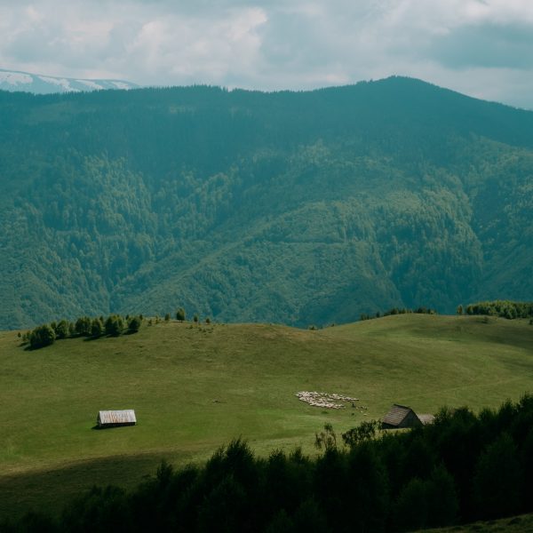 Drumeție în familie: Arena Platoș - Dealul Ursului