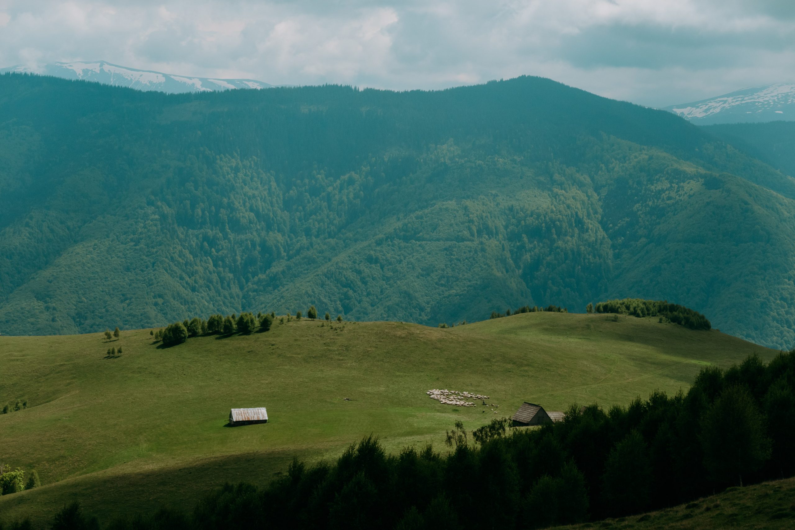 Drumeție în familie: Arena Platoș – Dealul Ursului
