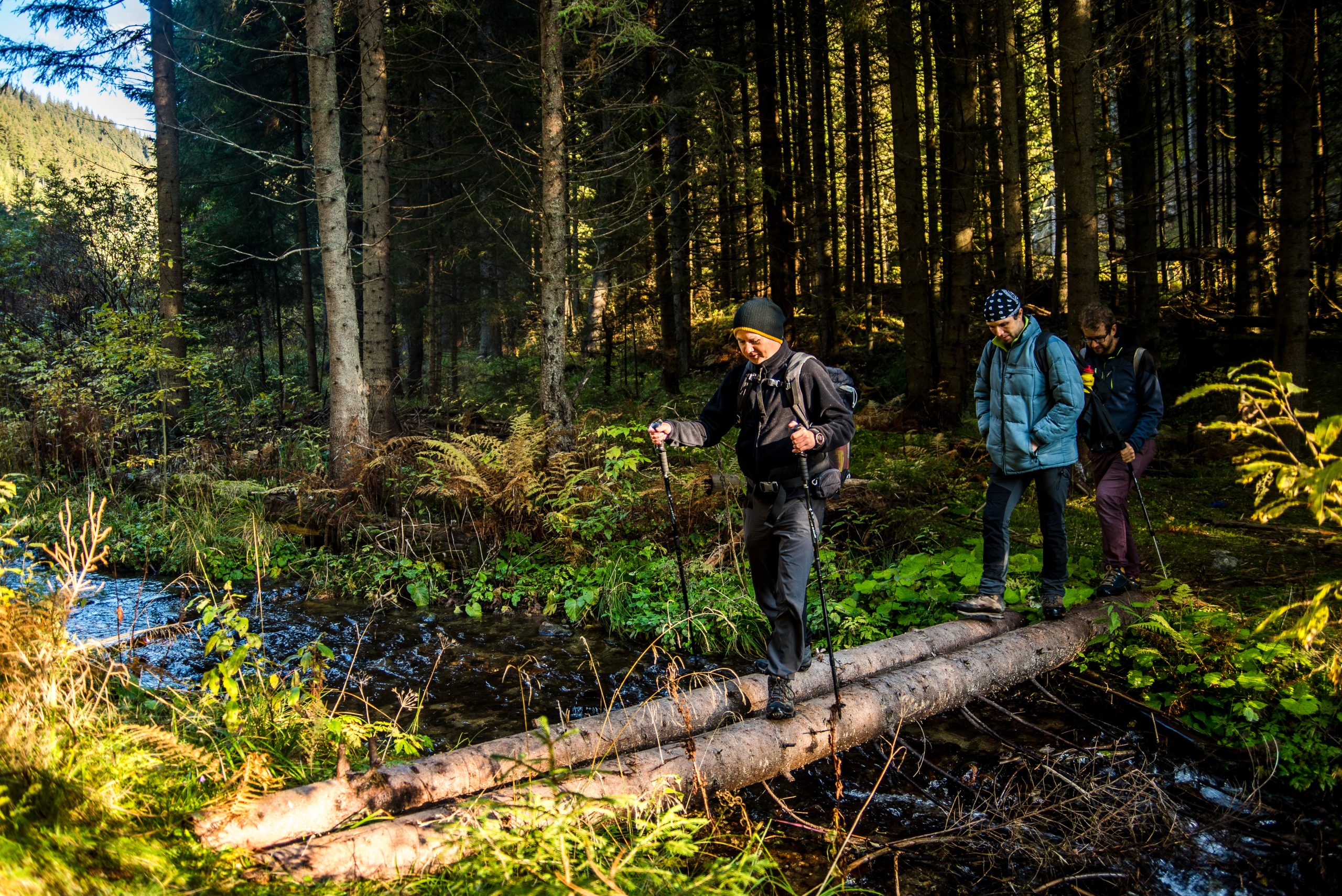 Drumeție în Munții Cindrel: Vf. Cindrel și Iezerul Mare al Cindrelului