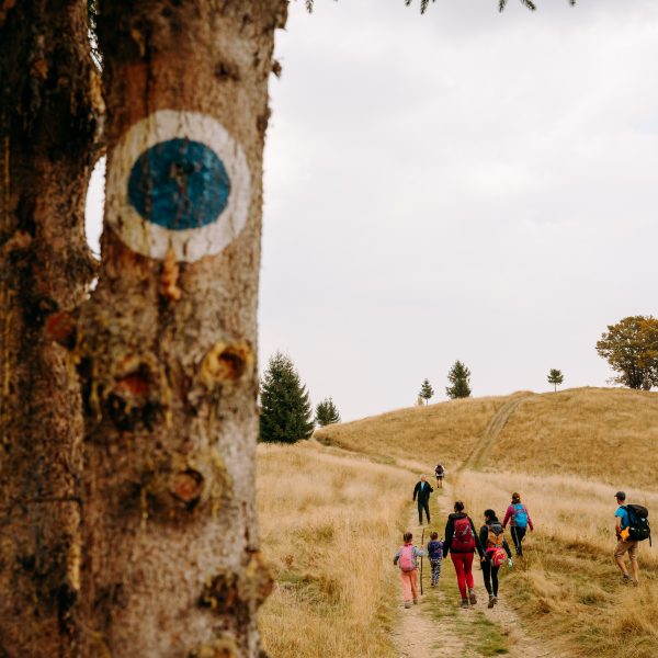 Drumeție pe Dealurile Sibielului