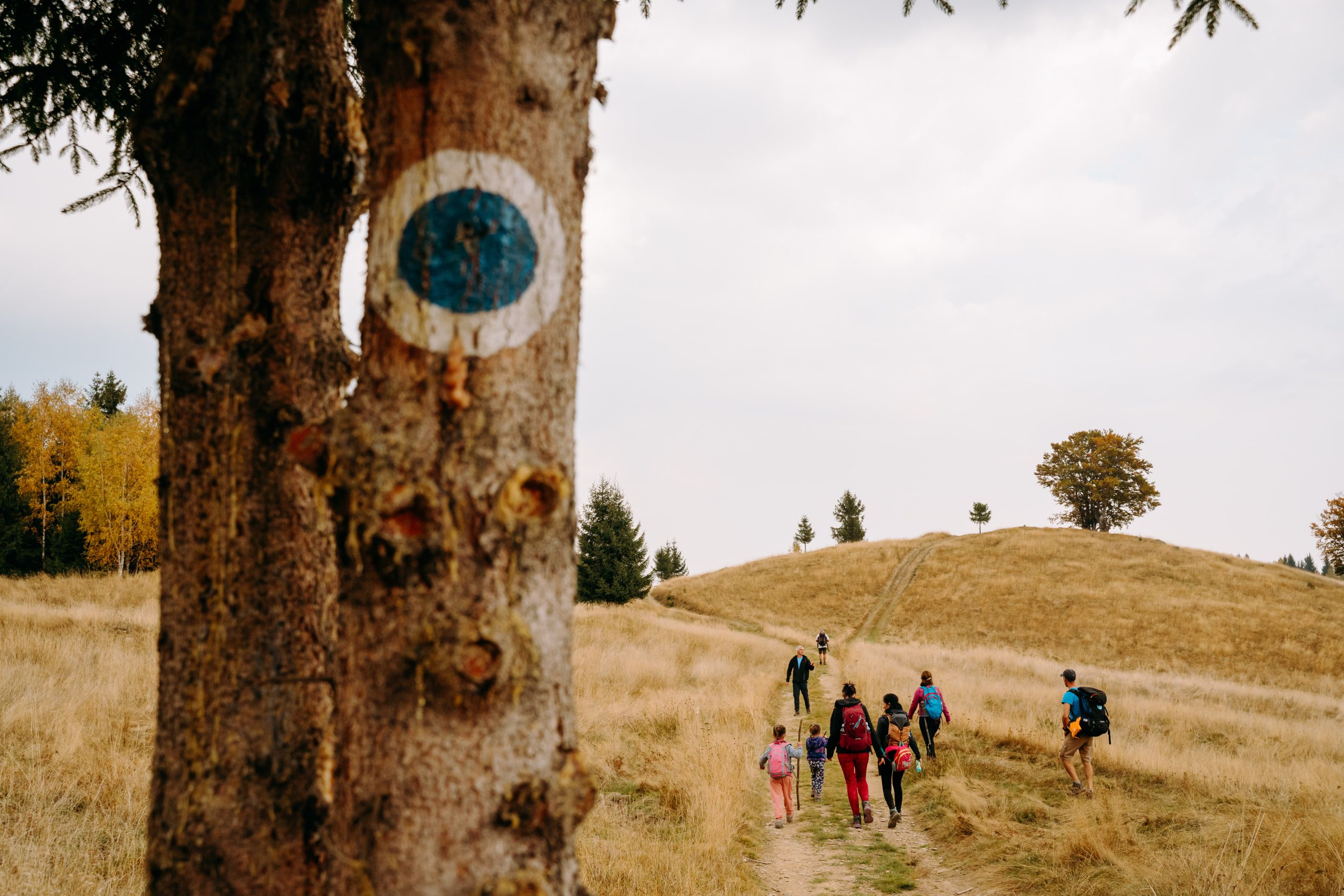 Drumeție pe Dealurile Sibielului