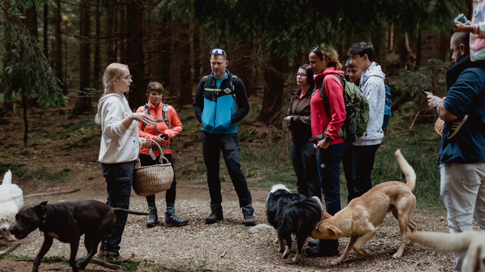 Foraging: Plante și ciuperci alimentare