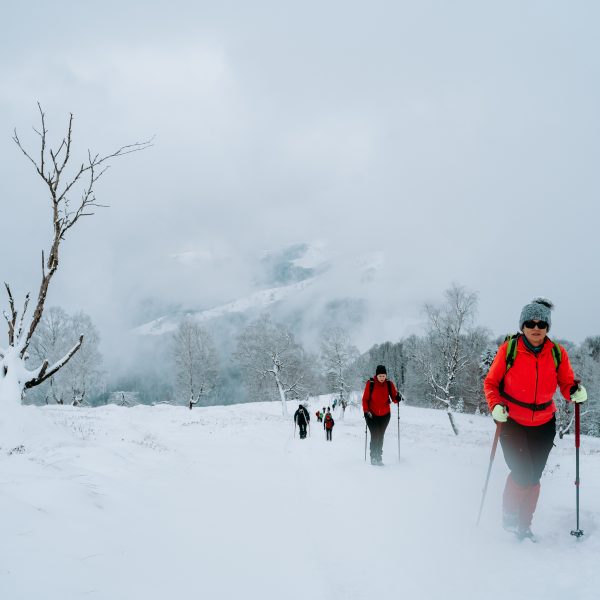 Drumeție în circuit: Cisnădie – Vf. Măgura - Cisnădie