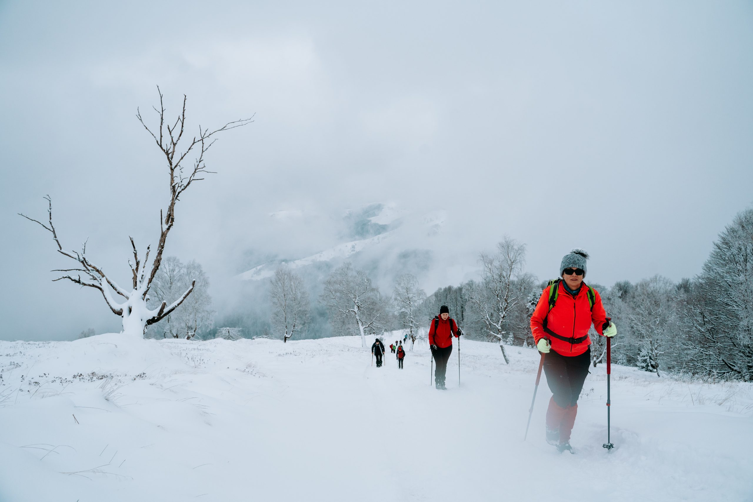 Drumeție în circuit: Cisnădie – Vf. Măgura – Cisnădie
